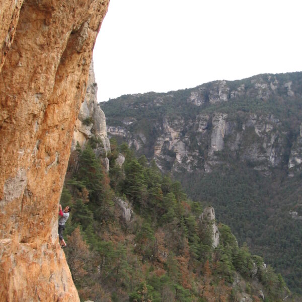 Mise à jour Topo Jonte secteur Cathédrale