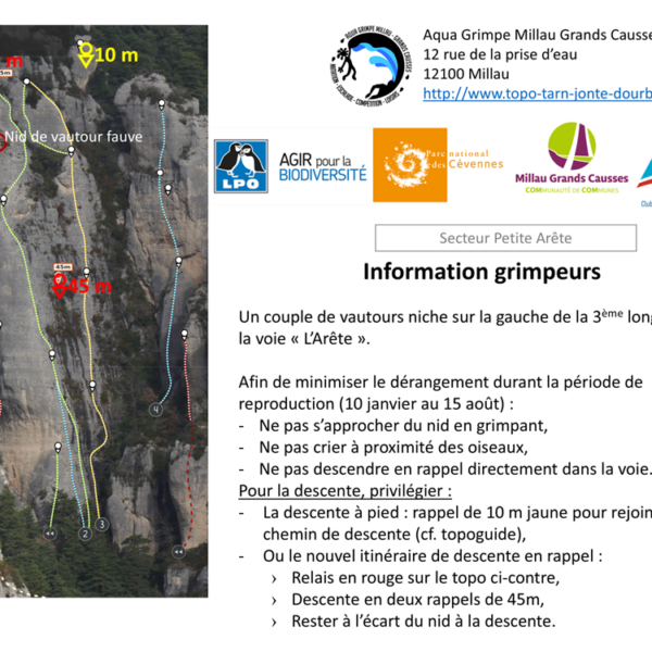 Nidification dans la voie « l’Arête »